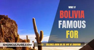 Exploring Bolivia's Surprising Claims to Fame