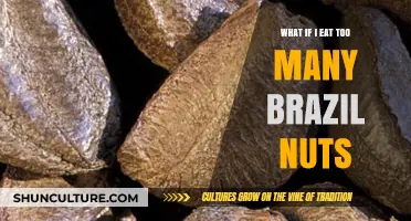 Brazil Nuts Overload: Risks of Excessive Selenium Intake Explained
