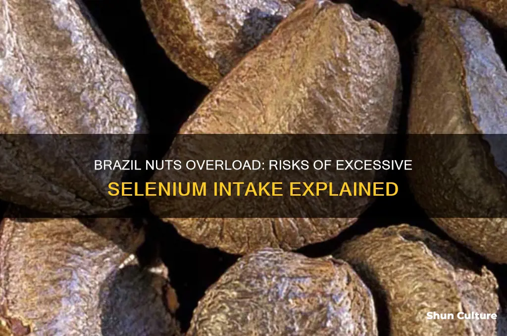 what if I eat too many brazil nuts
