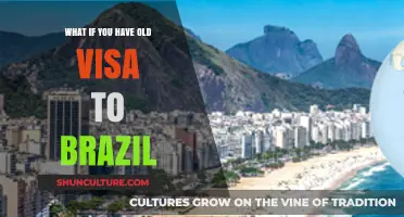 Old Brazil Visa? What to Do and How to Renew It