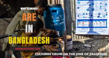 Common Illnesses in Bangladesh: Health Challenges and Prevalent Diseases