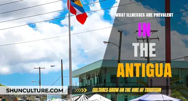 Prevalent Illnesses in Antigua: Understanding Common Health Challenges