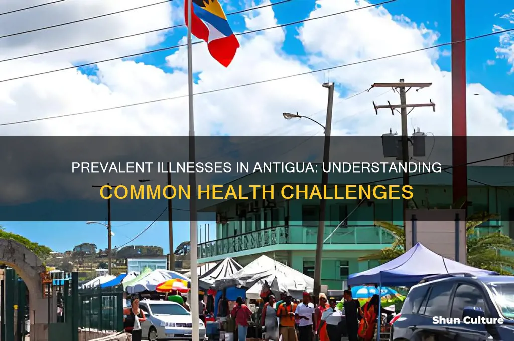 what illnesses are prevalent in the antigua