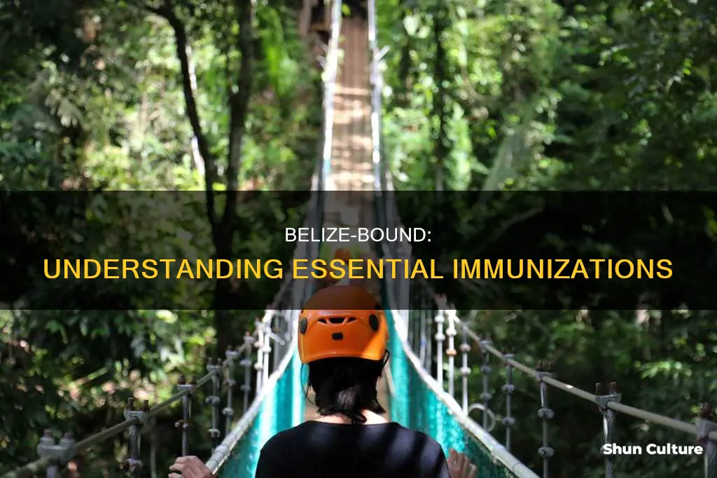 what immunizations do I need for belize