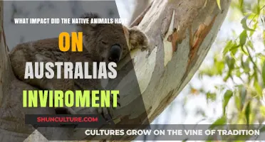 Native Animals: Australia's Environmental Shapers