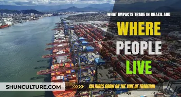 Brazil's Trade Dynamics: Geography, Population, and Economic Influences Explored