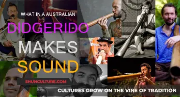 How the Australian Didgeridoo Creates its Unique Sound