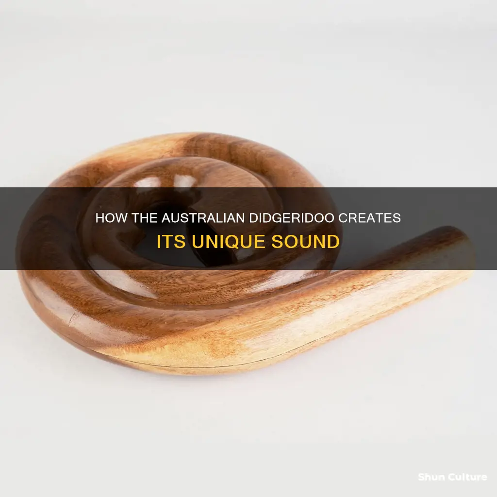 what in a australian didgeridoo makes sound