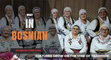 Exploring Bosnian Culture: Language, Traditions, and What Makes It Unique