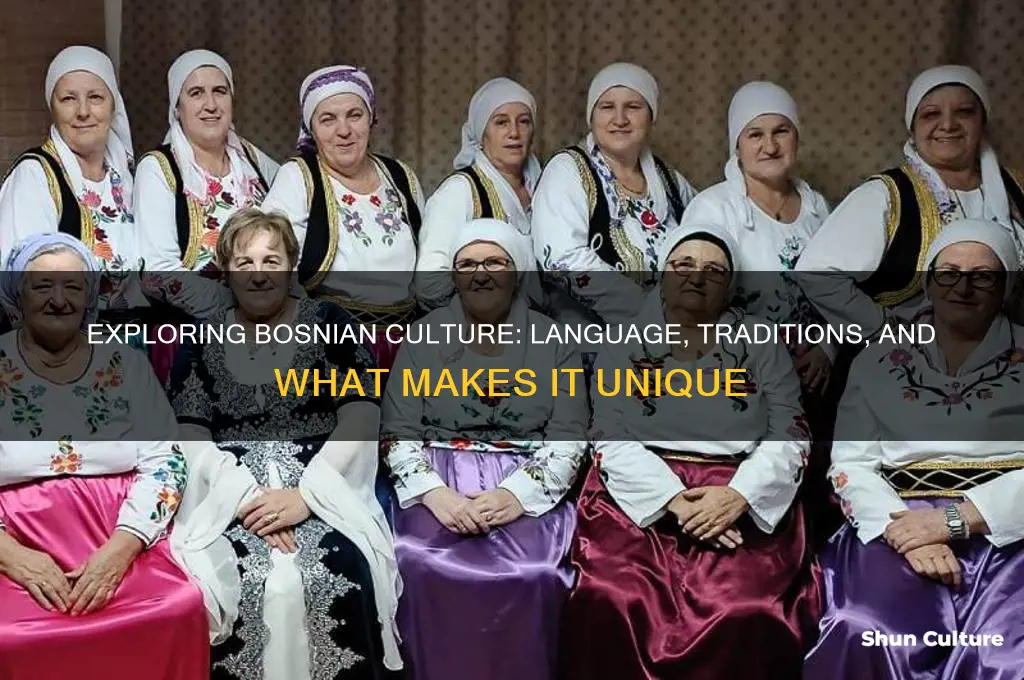 what in bosnian