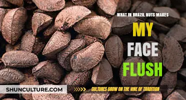Brazil Nuts and Facial Flushing: Uncovering the Surprising Connection