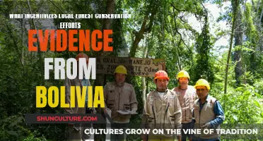 How Bolivia's Forests Are Being Conserved Locally