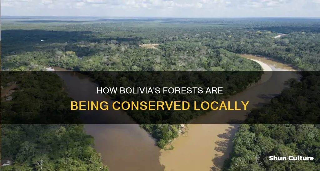 what incentivizes local forest conservation efforts evidence from bolivia