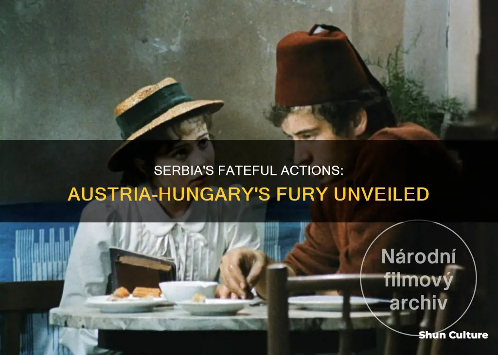 what incident made austria hungary angry with serbia