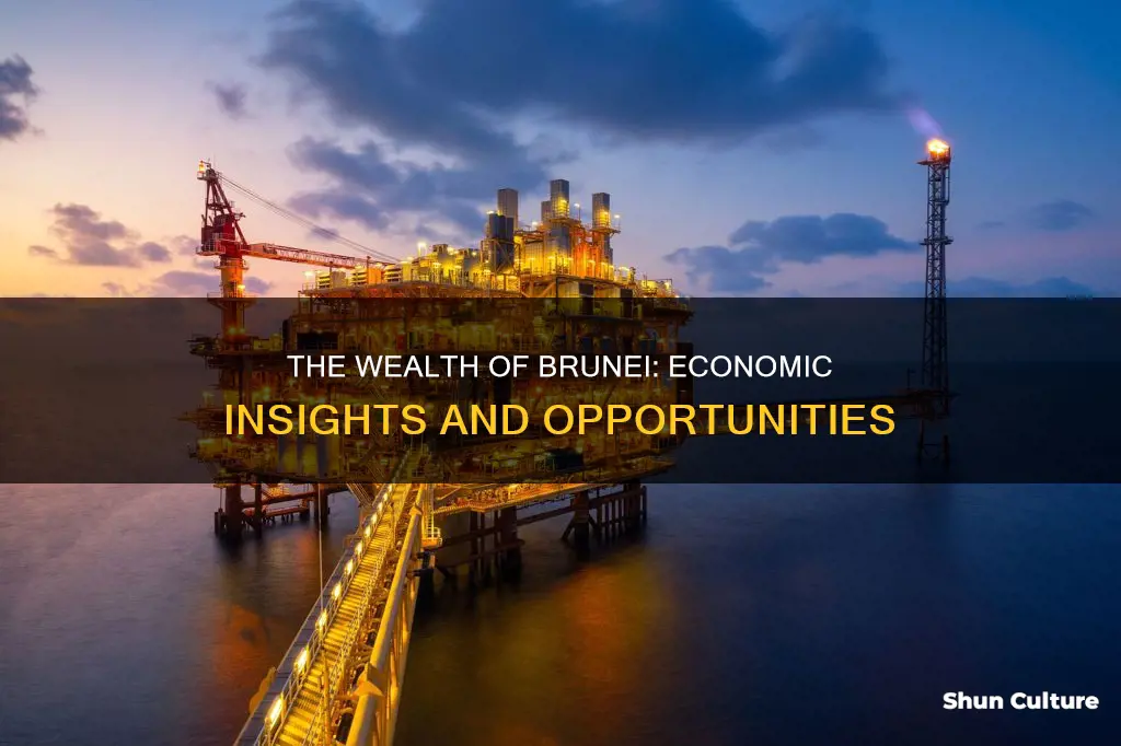 what income brunei have