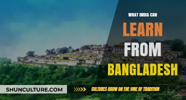 Bangladesh's Progress: Key Lessons for India's Development Journey