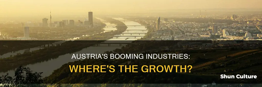 what industries are growing in austria