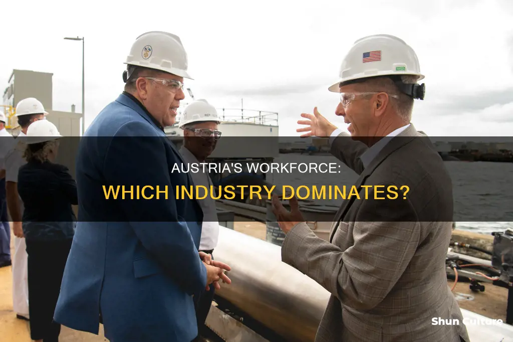what industry employs more than half of austria