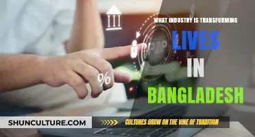 Bangladesh's Tech Revolution: Transforming Lives and Shaping the Future