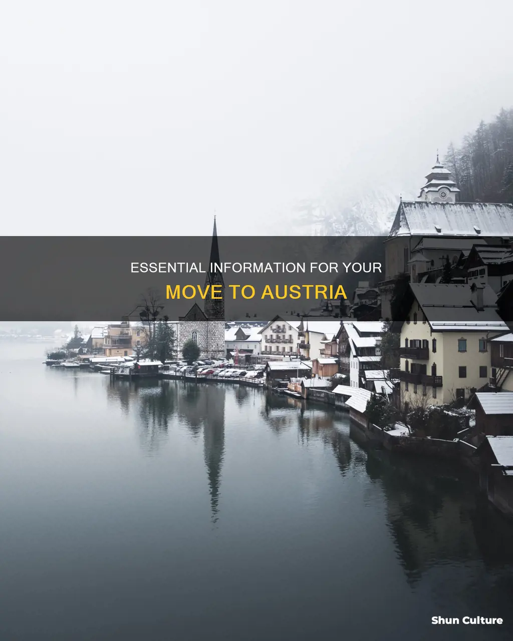 what information must I provide when moving to austria