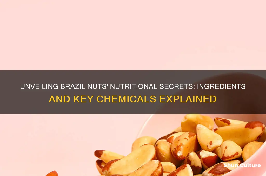 what ingredients or chemicals are in brazil nuts