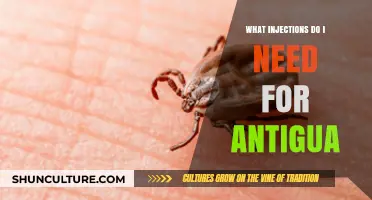 Essential Travel Vaccinations: What Injections Are Required for Antigua?