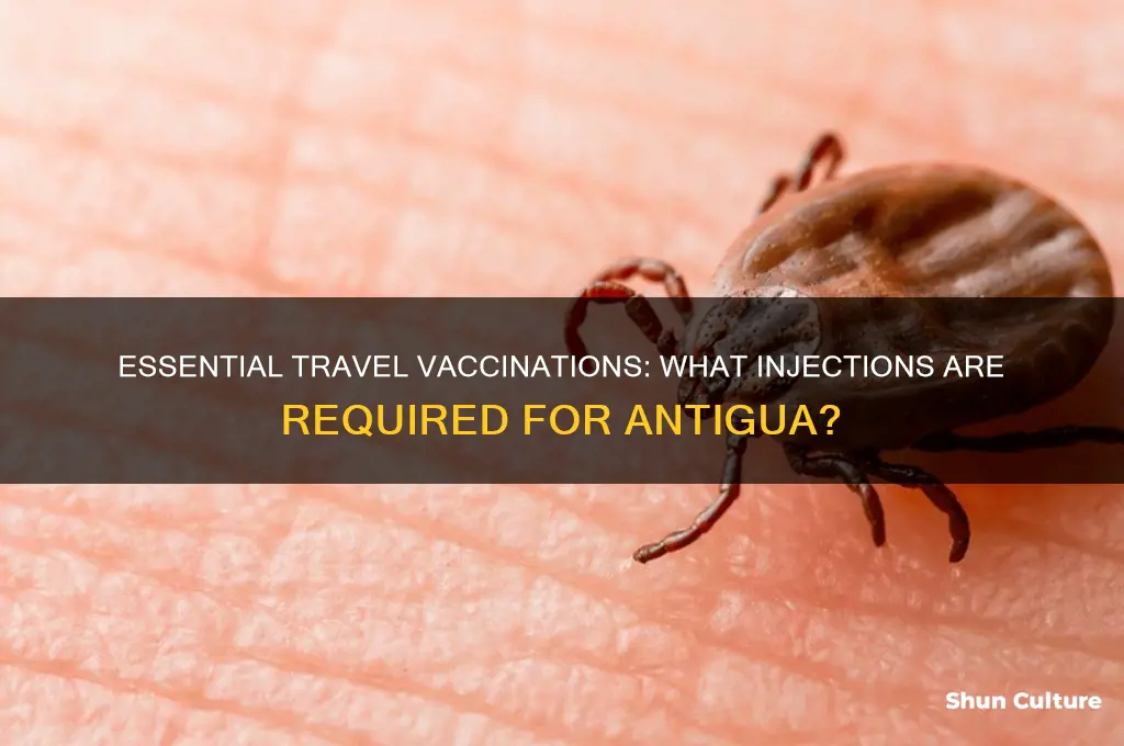 what injections do I need for antigua