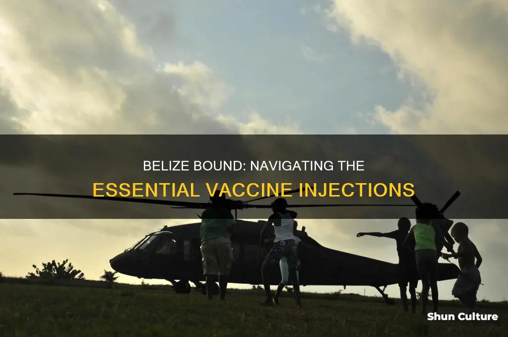 what injections do I need for belize