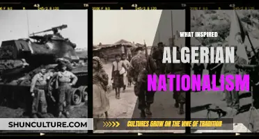 Roots of Algerian Nationalism: Historical, Cultural, and Political Inspirations