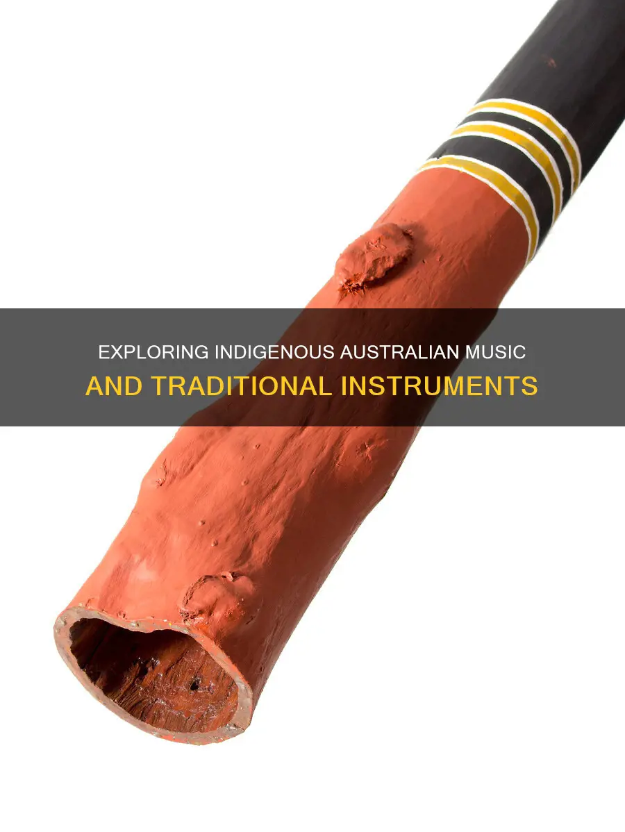 what instrument is used by the indigenous people of australia
