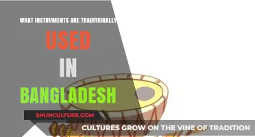 Traditional Bangladeshi Instruments: Exploring the Rich Musical Heritage of Bangladesh