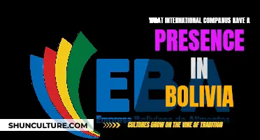 International Companies with a Bolivian Presence