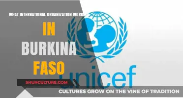 Empowering Burkina Faso: International Organizations Making a Difference
