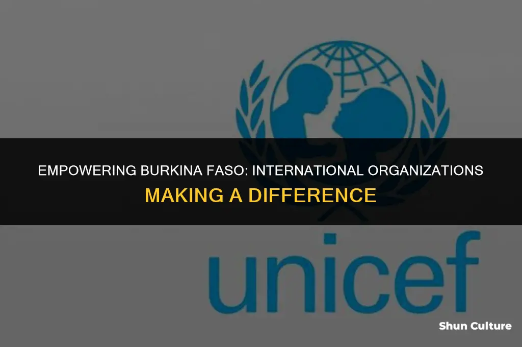 what international organization working in burkina faso