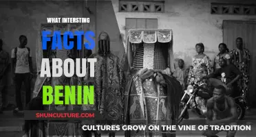 Unveiling Benin: Surprising Insights into West Africa's Hidden Gem