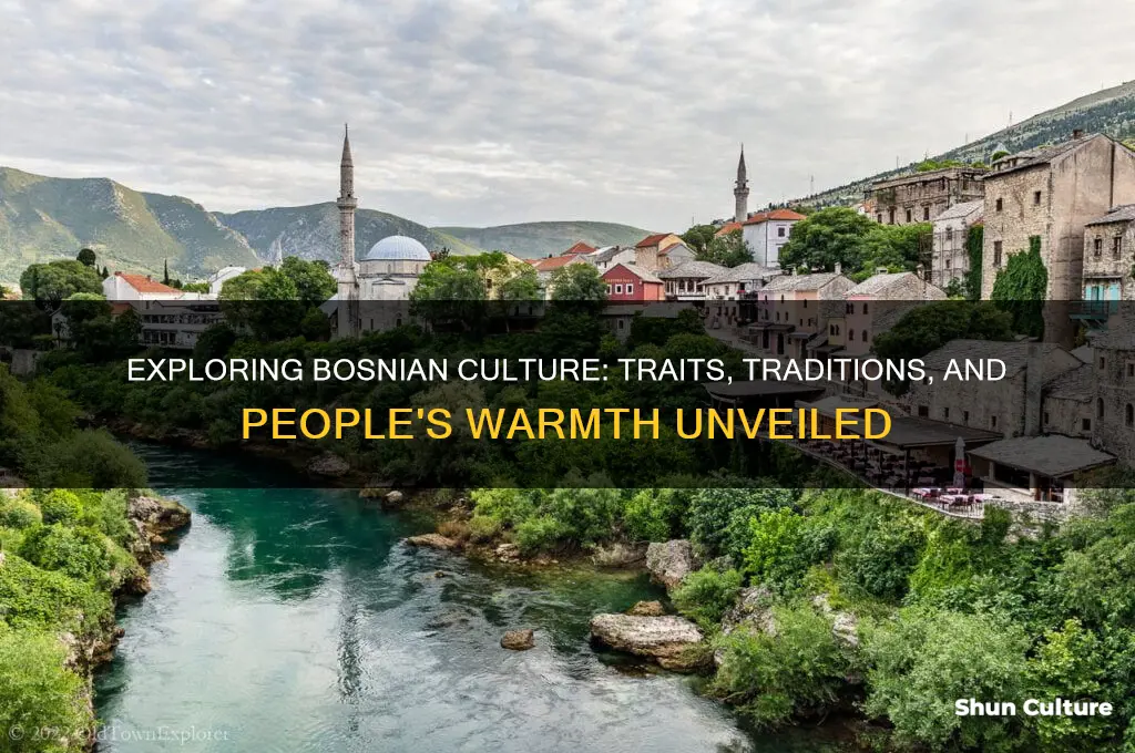 what is 0eople from bosnia like