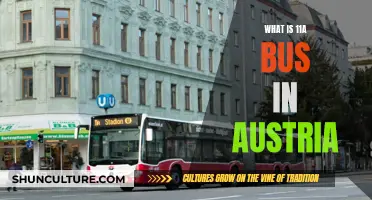 Exploring Austria's 11A Bus: A Journey Through Scenic Routes