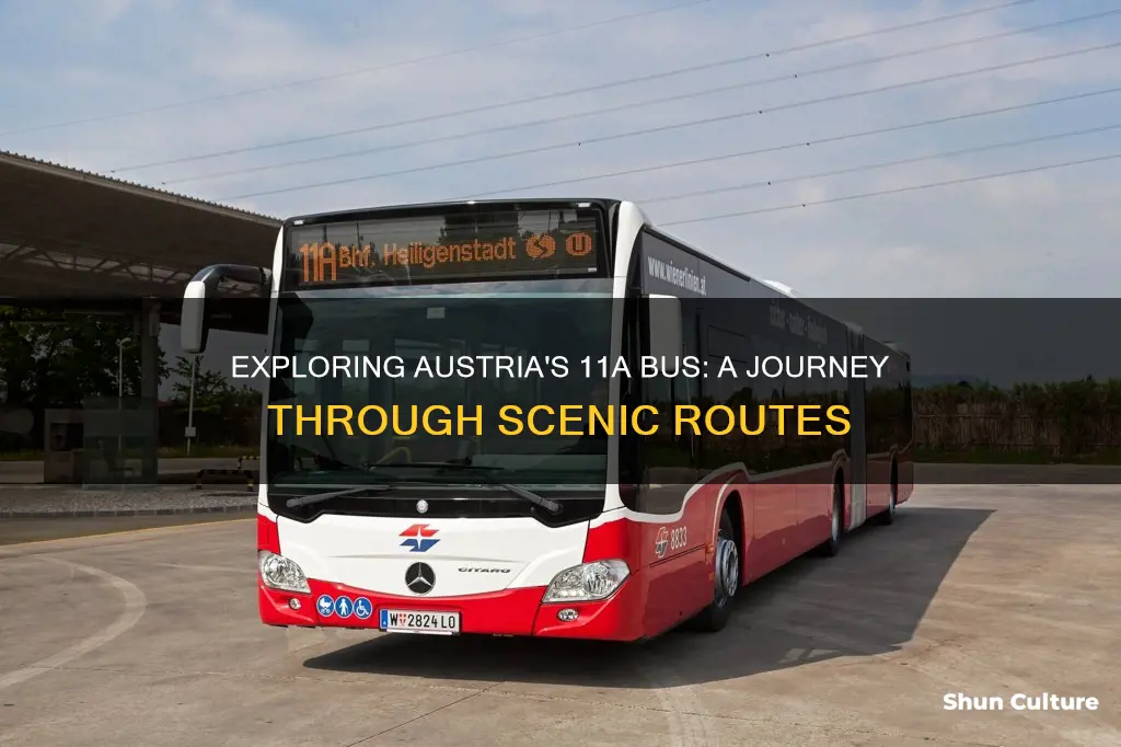 what is 11a bus in austria