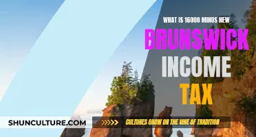 Income Tax Returns in New Brunswick
