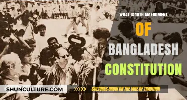 Understanding Bangladesh's 16th Constitutional Amendment: Key Changes and Implications