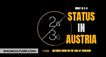 Understanding Austria's 2G Status: A Comprehensive Guide