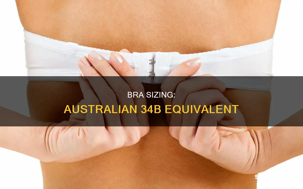 what is 34b in australian size