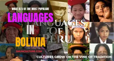 Exploring Bolivia's Top Five Languages and Their Popularity