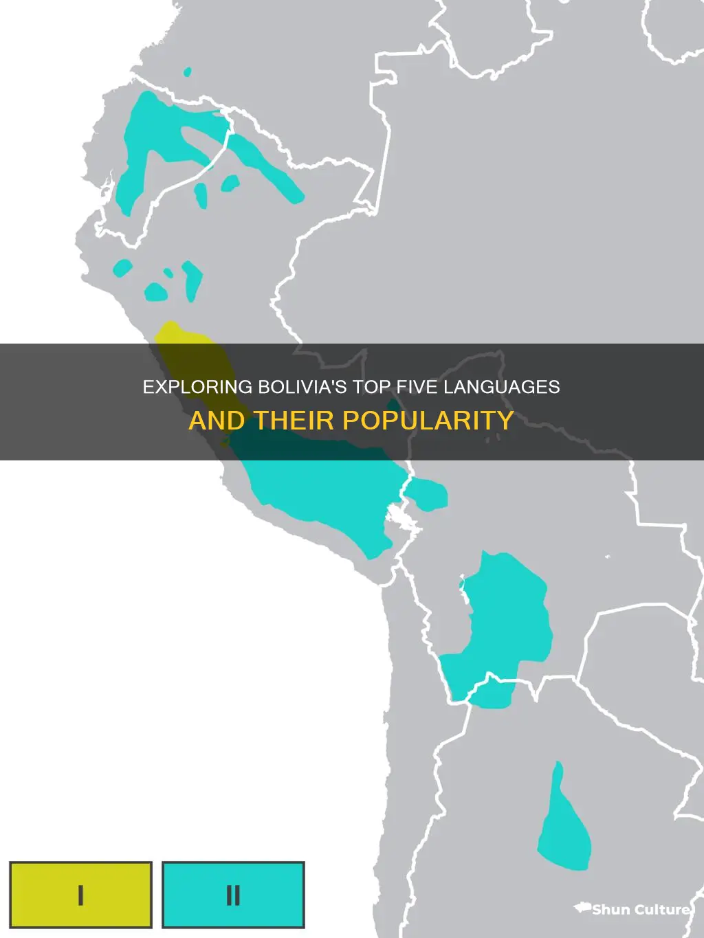 what is 5 of the most populare languages in bolivia