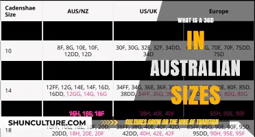 Bra Sizes: Australian 36D Equivalent