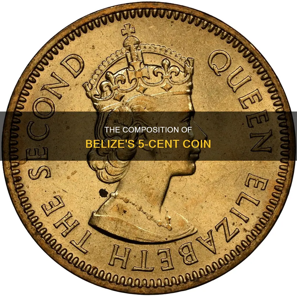 what is a 5 cent belize 2006 coin made of