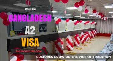 Understanding Bangladesh A2 Visa: Requirements, Application, and Benefits Explained