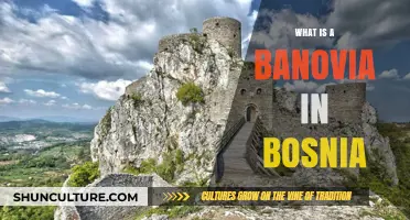 Understanding Banovia: Bosnia's Unique Cultural and Historical Tradition Explained