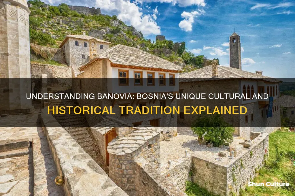 what is a banovia in bosnia