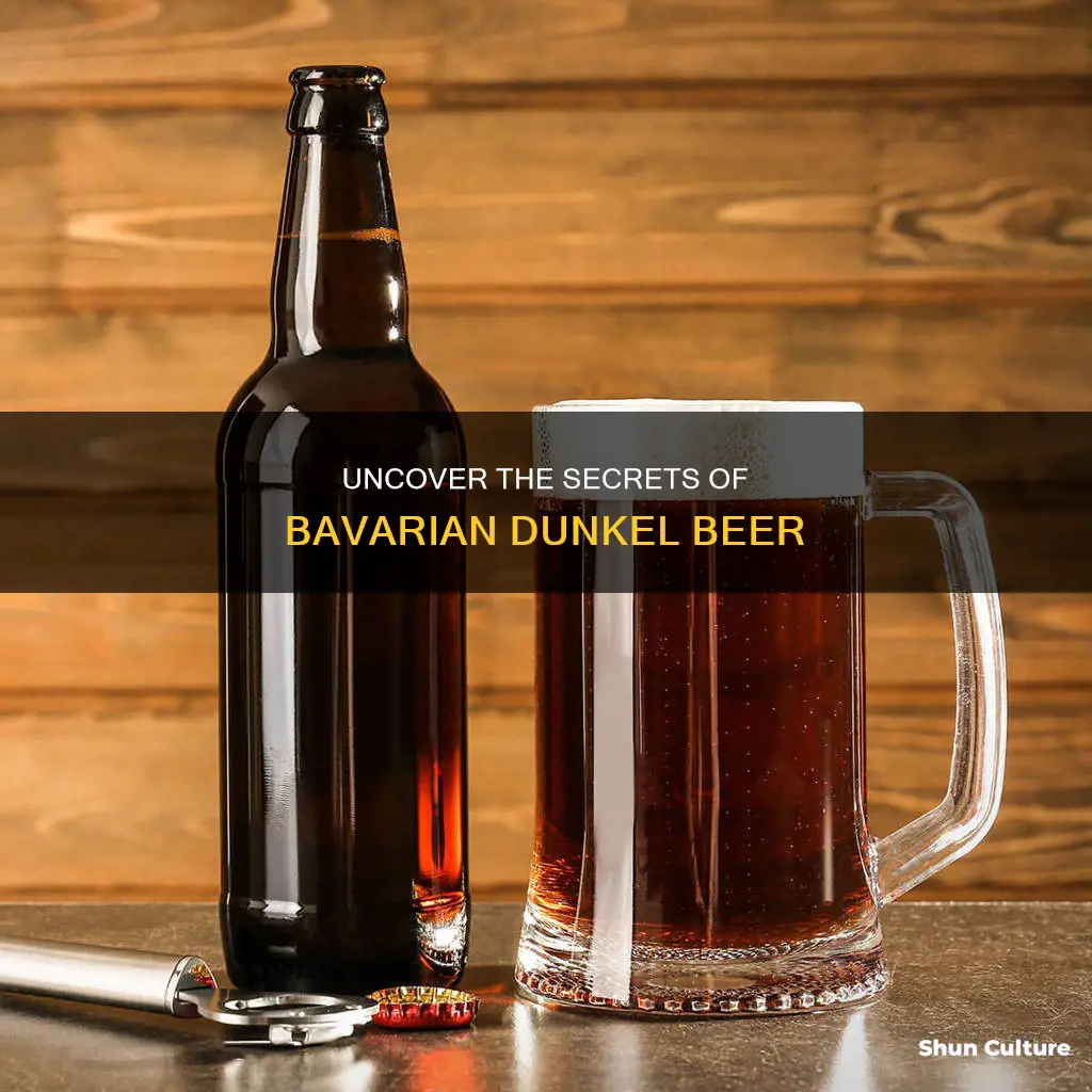 what is a bavarian dunkel